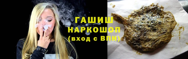 дмт Ельня