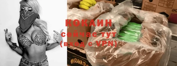 стаф Дмитровск