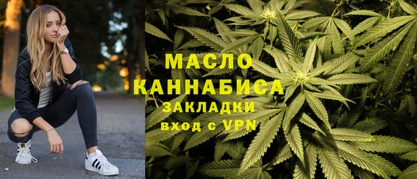 молекула духа Лысьва