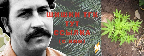 дмт Ельня