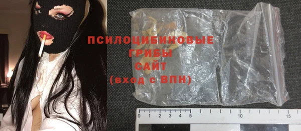 дмт Ельня