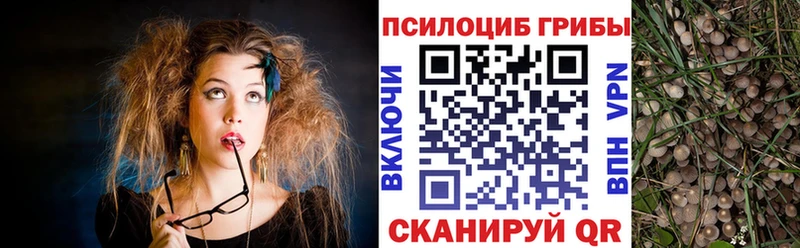 где купить наркотик  Горнозаводск  Галлюциногенные грибы мицелий 